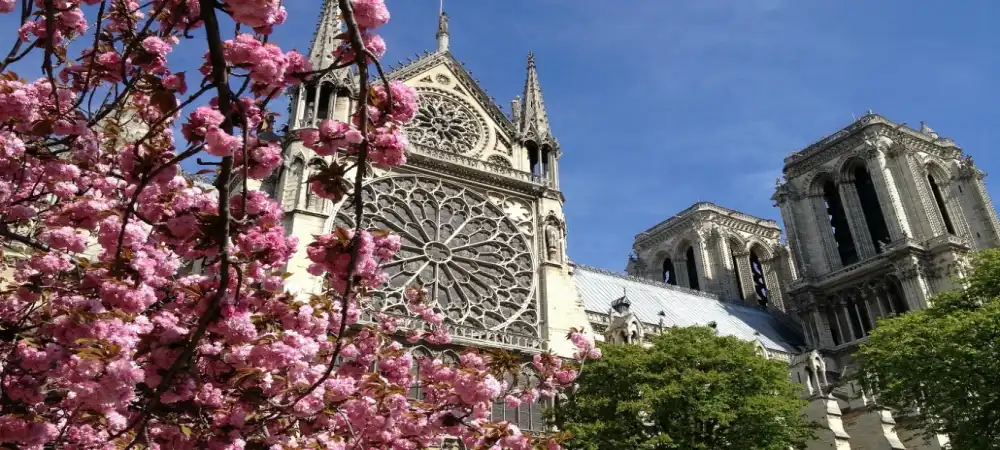 Cómo Planificar un Viaje a París en Marzo